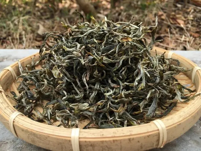 2023年易武張家灣古樹春茶品質(zhì)如何？