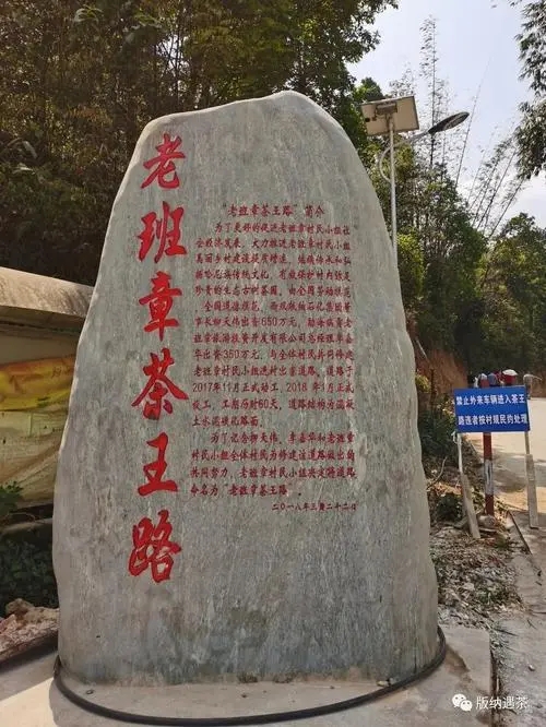 2024年老班章古樹(shù)春茶品質(zhì)如何？
