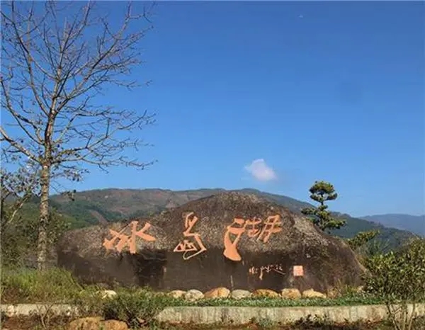 2024年冰島老寨古樹(shù)春茶品質(zhì)怎么樣？