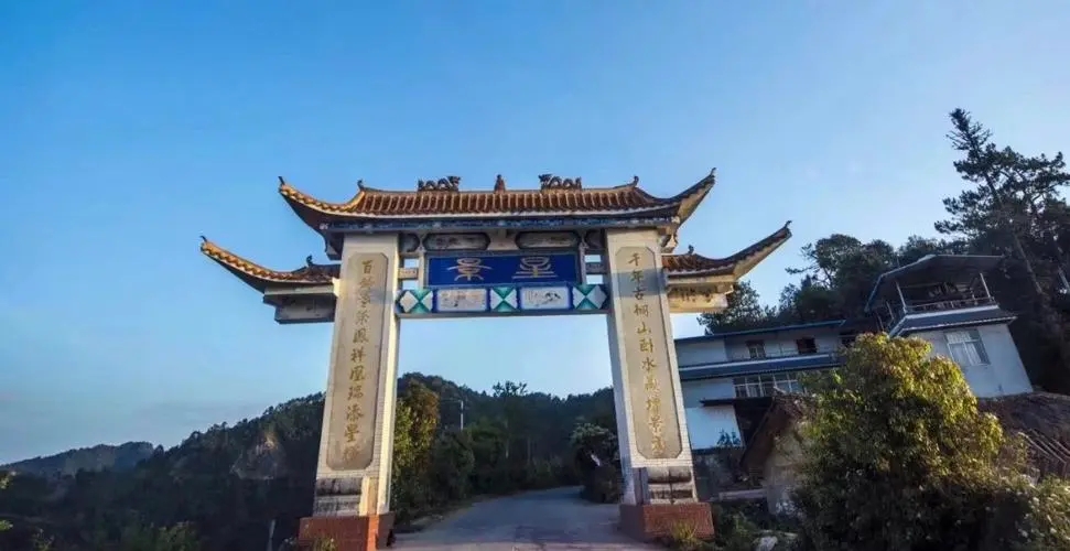 2024年墨江鳳凰窩古樹春茶特點(diǎn)是什么？