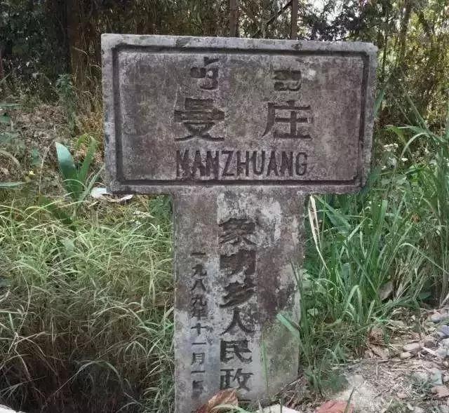 2025年蠻磚古樹春茶價(jià)格是多少？